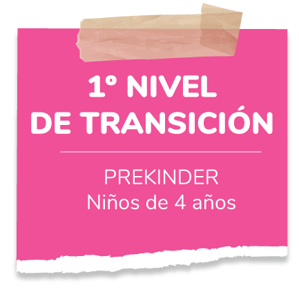 primer-nivel-transicion-2