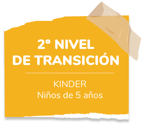 segundo-nivel-transicion-2